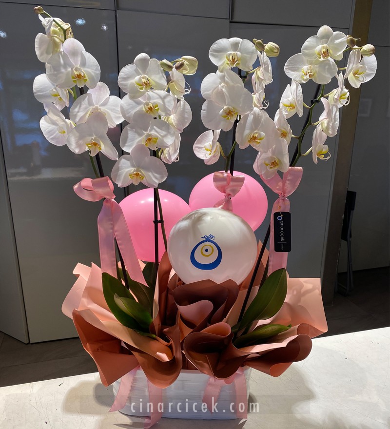 Yeni Doğan Bebek için Beyaz Orkide Aranjmanı